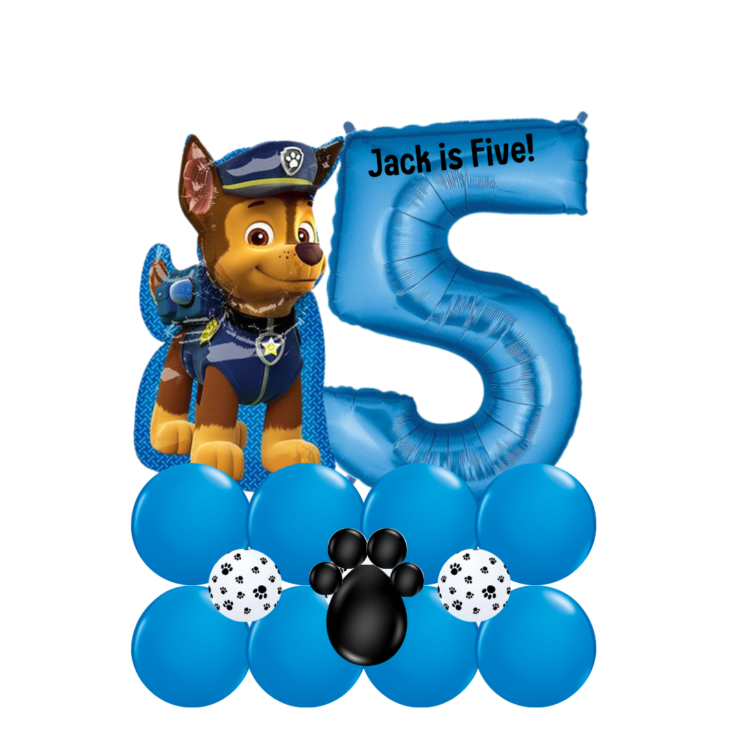 Paw fashion patrol age 2