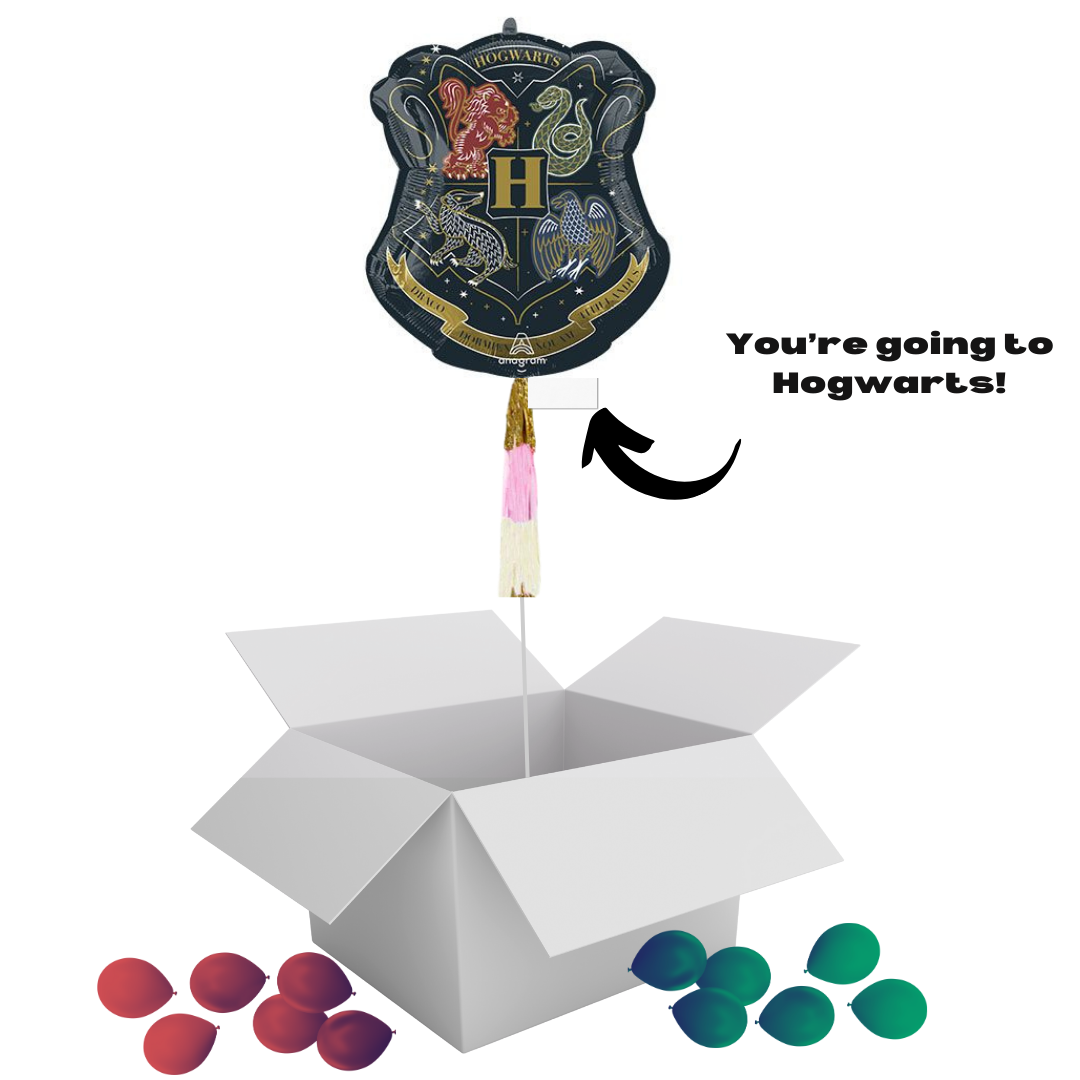 We're Going To Hogwarts! Message Box