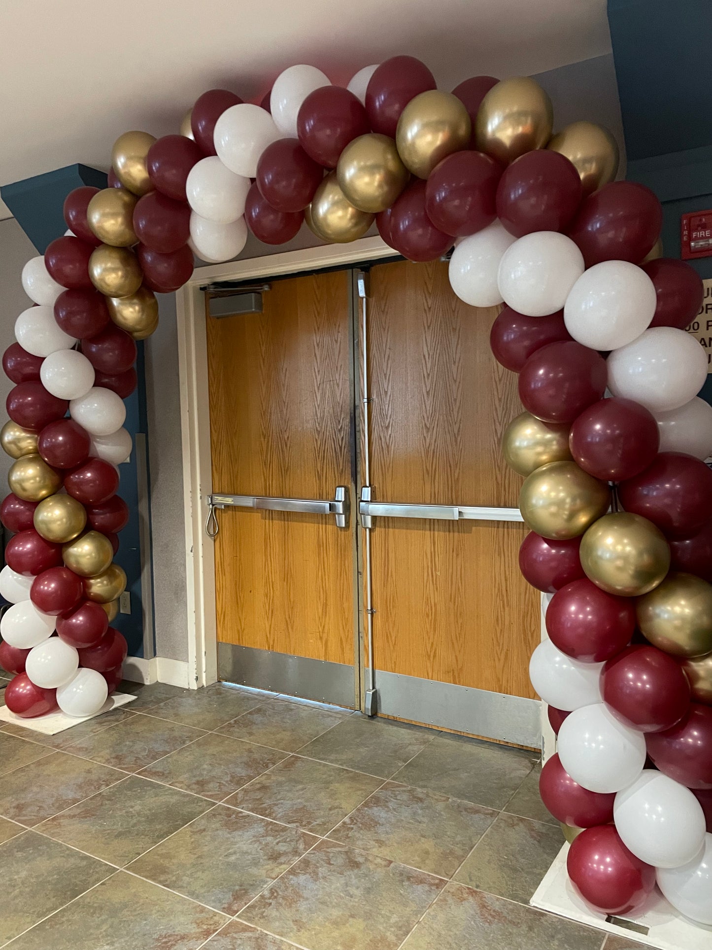 Berry Latex Balloon (11 Inch)