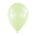 Pastel Green Latex Balloon (11 Inch)