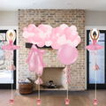 Ballerina Balloon Decor Package