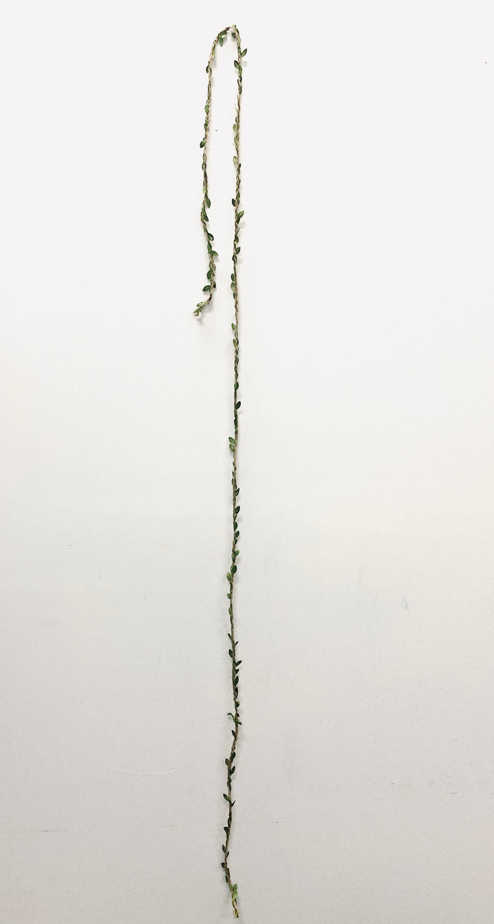 Braided Twine &amp; Leaves Balloon Tail