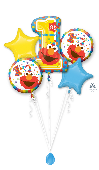 Sesame Street 1st Birthday Basic Bouquets (sand anchor included)