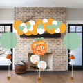 A Little Cutie is on The Way Balloon Decor Package