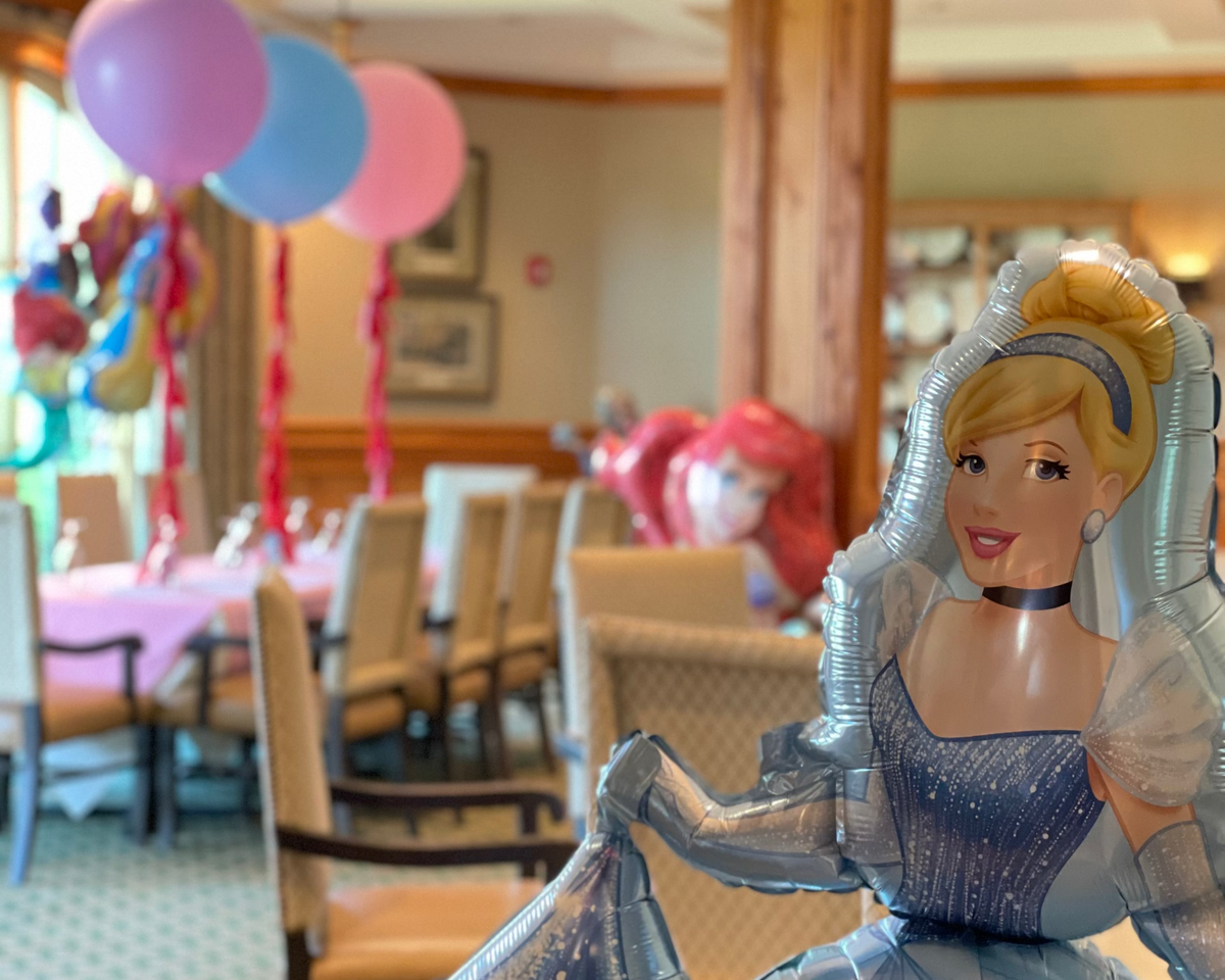 disney princess party county club of Charleston 