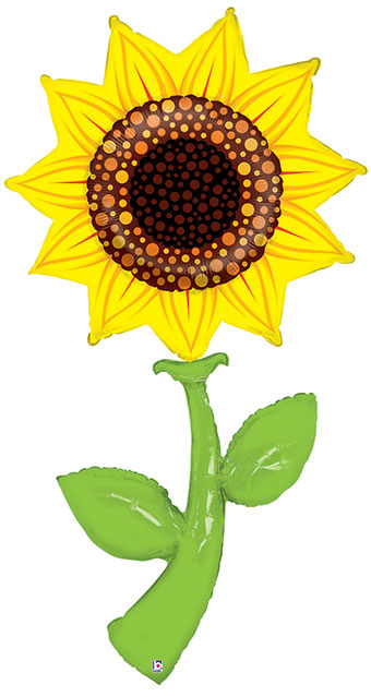Jumbo Fresh Picks Sunflower 60"