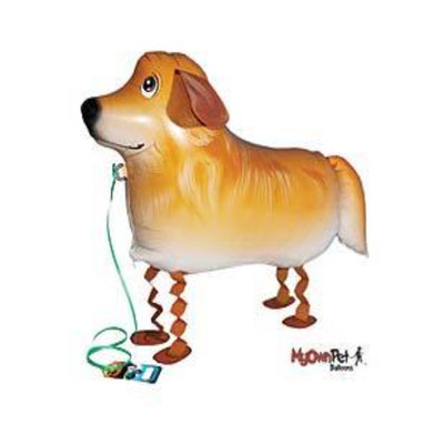Pet Golden Retriever Pet Dog Balloon Toy