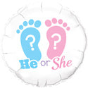He or She? Gender Reveal Footprints (D)
