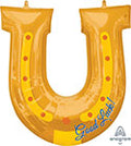 Horseshoe Good Luck! (DNR)