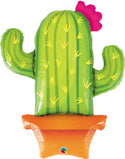 Potted Cactus (D)