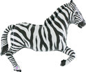 Galloping Zebra