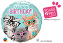 Happy Birthday Kittens With Eyeglasses
