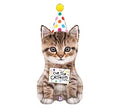Cue The Catfetti Balloon (36 Inch)