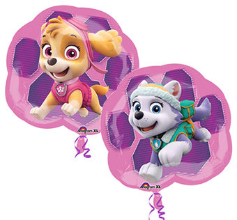 Paw Patrol Skye and Everest